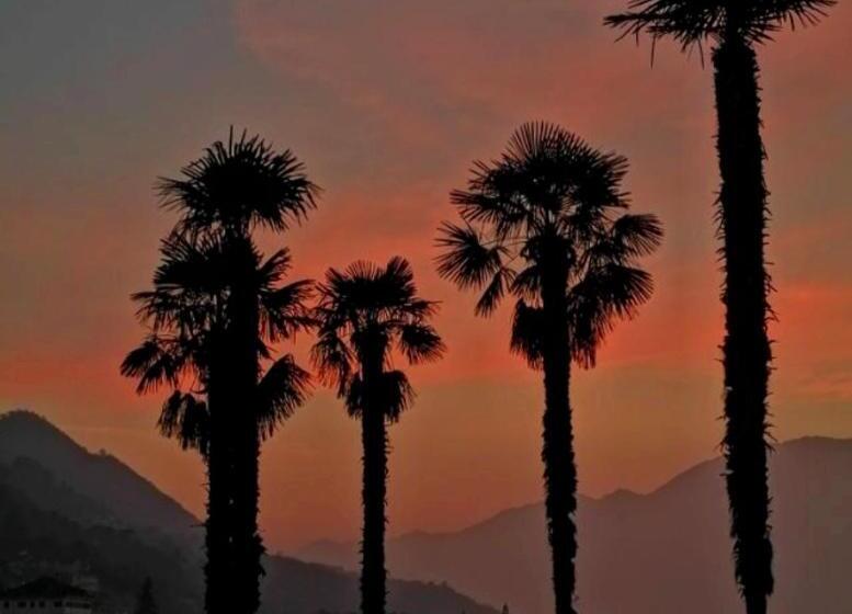 פנסיון I Viaggi Del Lea