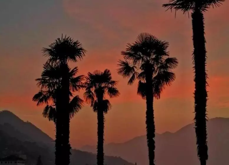 Majatalo I Viaggi Del Lea