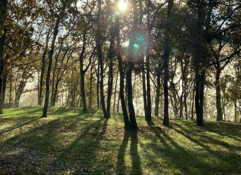 פנסיון Maison D’hôte Les Grands Chênes