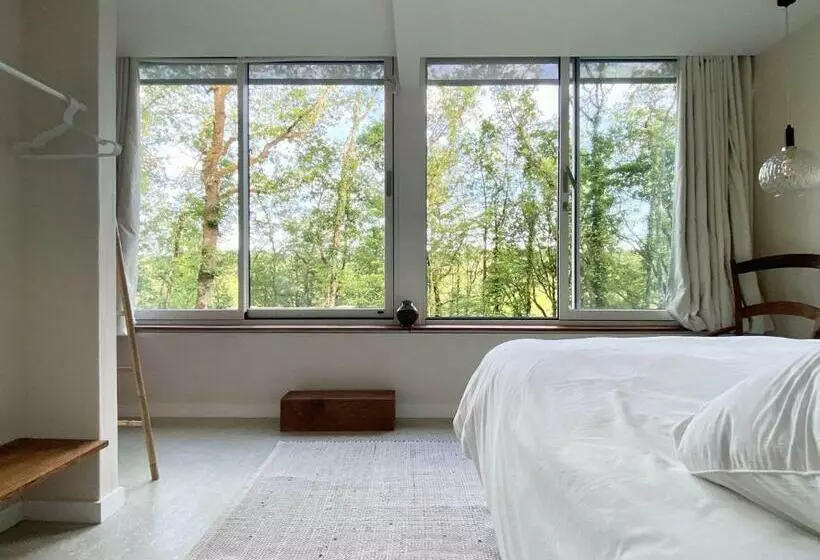 Pension  Maison D’hôte Les Grands Chênes