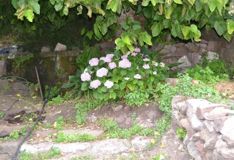 ベッドアンドブレックファースト Su Ghindalu Guesthouse