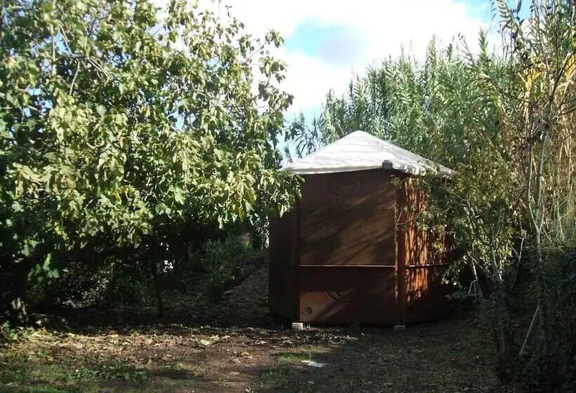 ベッドアンドブレックファースト Su Ghindalu Guesthouse