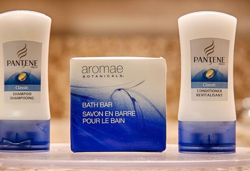 호텔 Best Western Plus Circle Inn