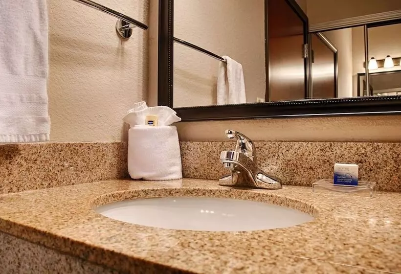 酒店 Best Western Plus Circle Inn