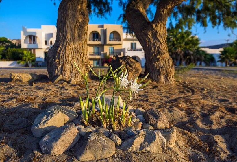 ホテル Olympia Mare