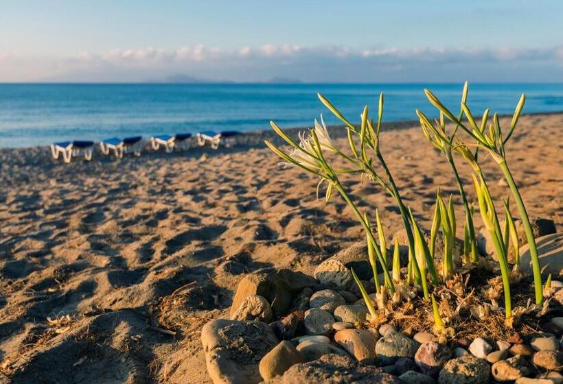 ホテル Olympia Mare