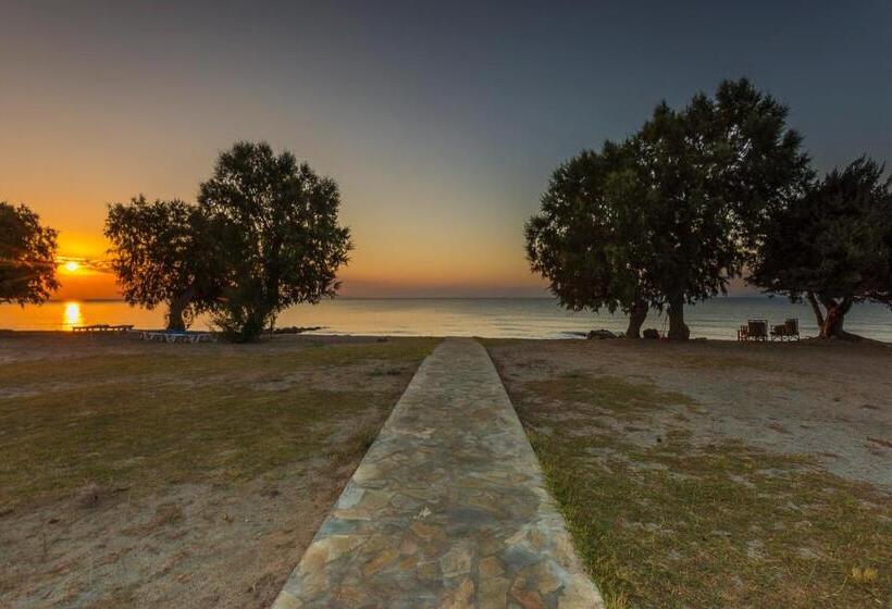 ホテル Olympia Mare