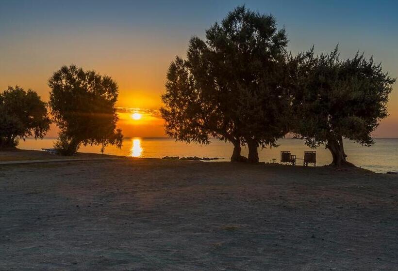 ホテル Olympia Mare