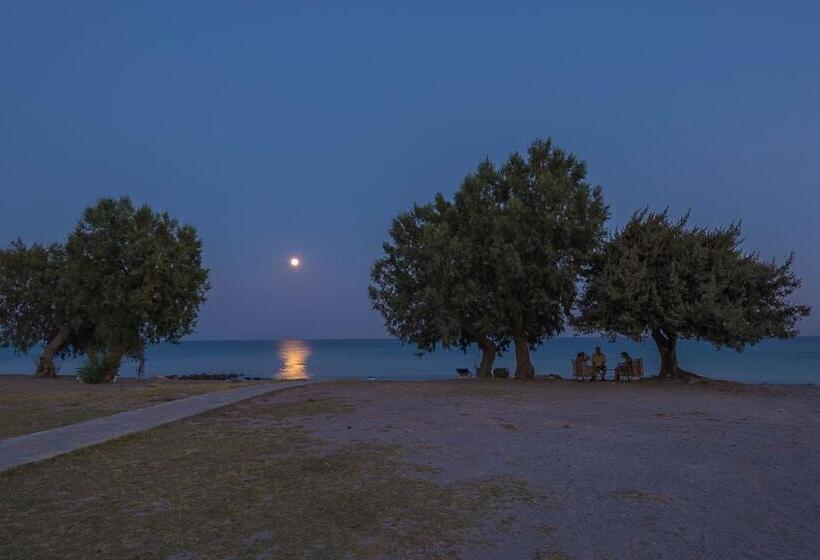 ホテル Olympia Mare