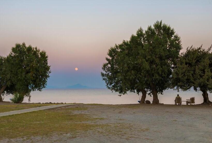 ホテル Olympia Mare