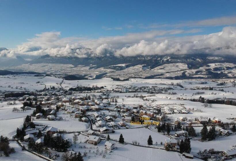 酒店 Wellness E Resort Stella Delle Alpi