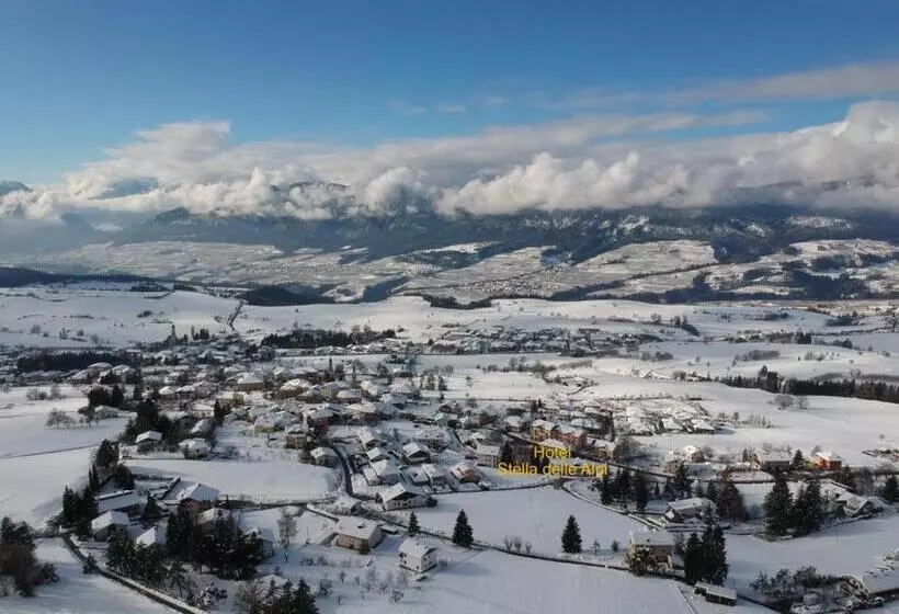 Отель Wellness E Resort Stella Delle Alpi