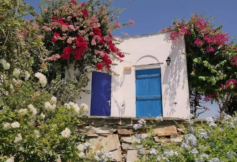 Sun Rock Boutique Suites