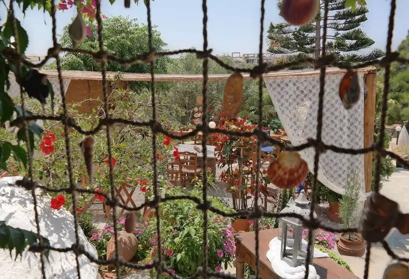 Sun Rock Boutique Suites