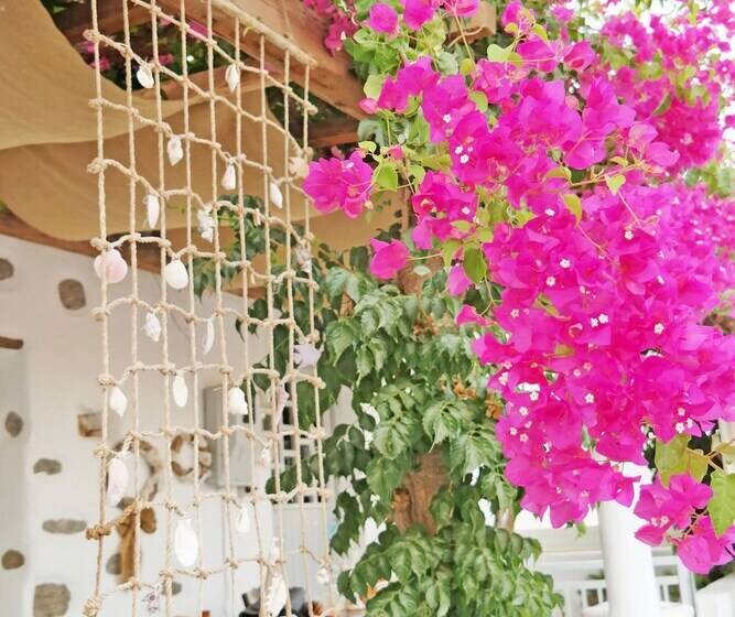 Sun Rock Boutique Suites