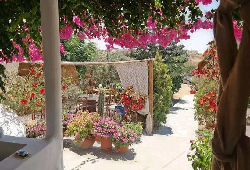 Sun Rock Boutique Suites