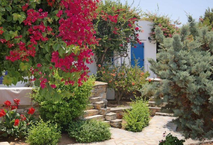 Sun Rock Boutique Suites