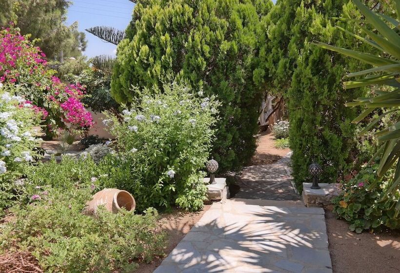 Sun Rock Boutique Suites