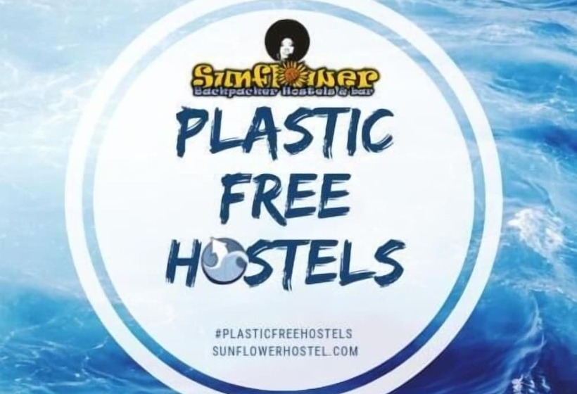 Sunflower Beach Backpacker Hostel & Bar
