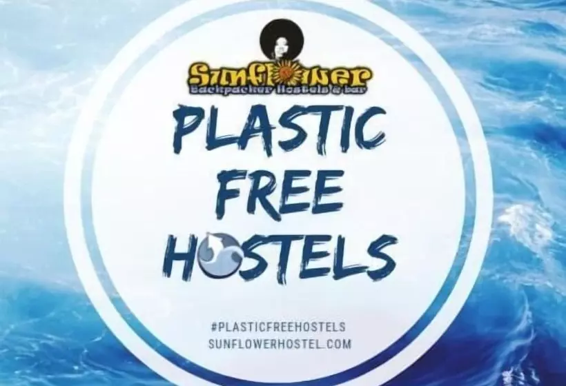 Sunflower Beach Backpacker Hostel & Bar