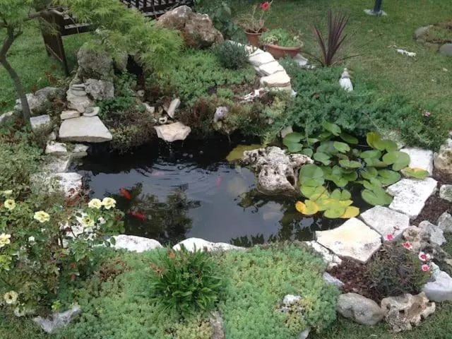 Bed and Breakfast La Casa Di Biba