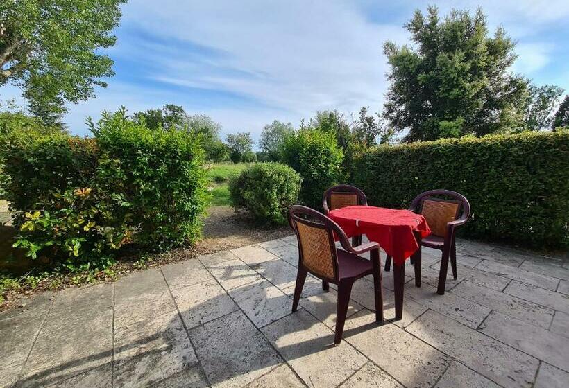 Bed and Breakfast Les Buisses En Provence