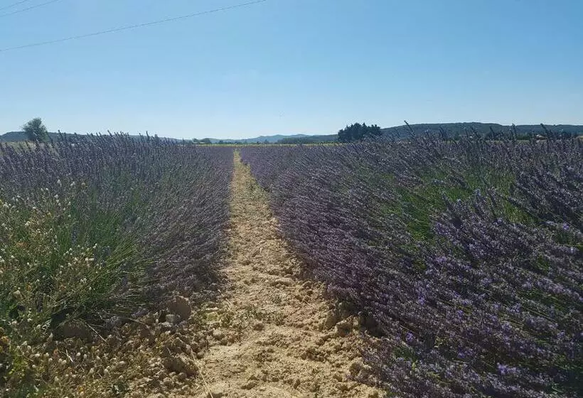 ベッドアンドブレックファースト Les Buisses En Provence