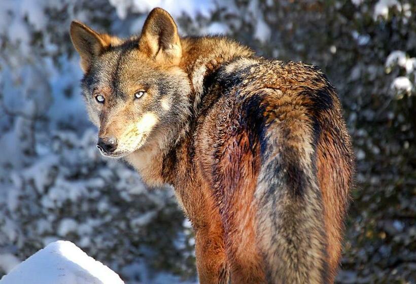 צימר Royo Guarde, Junto Al Río Mundo
