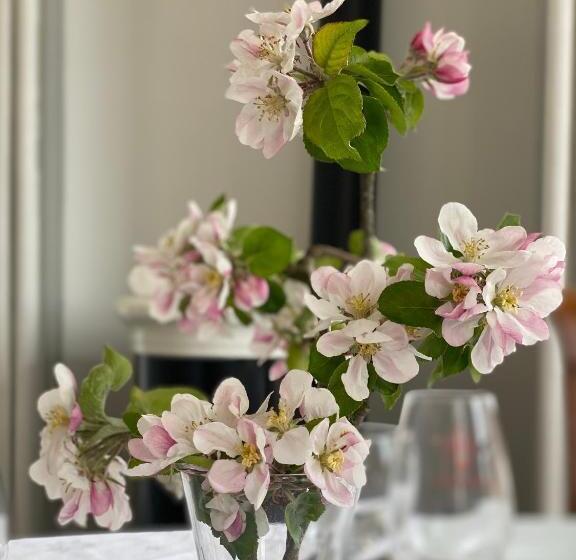 Пансион Manoir De L Oiselière