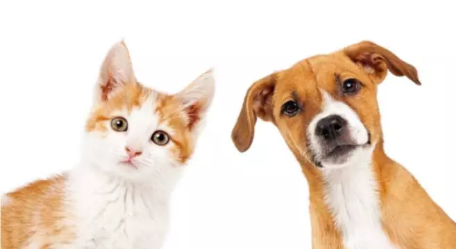 Majatalo Stanza Con Terrazzo Vista Lago   Lakeholiday It