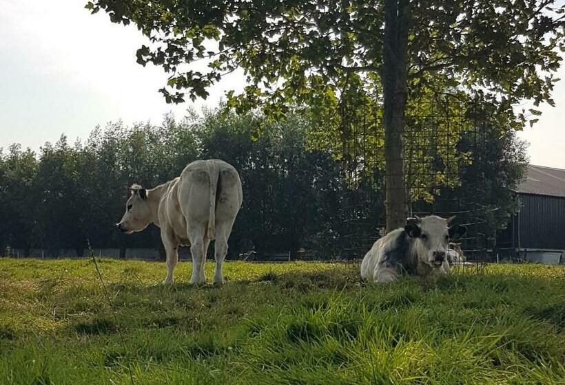 Bed and Breakfast Bed Bij Boertje