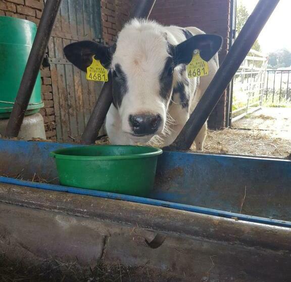 Bed and Breakfast Bed Bij Boertje