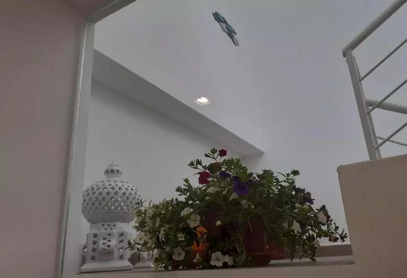 تختخواب و صبحانه Camere Stella Del Sud Makari