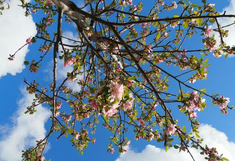 Bed & Breakfast Polderlodge