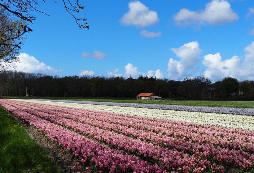 Bed & Breakfast Polderlodge