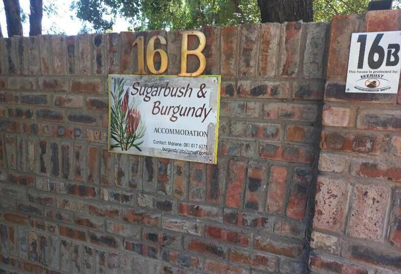 Пансион Sugarbush & Burgundy