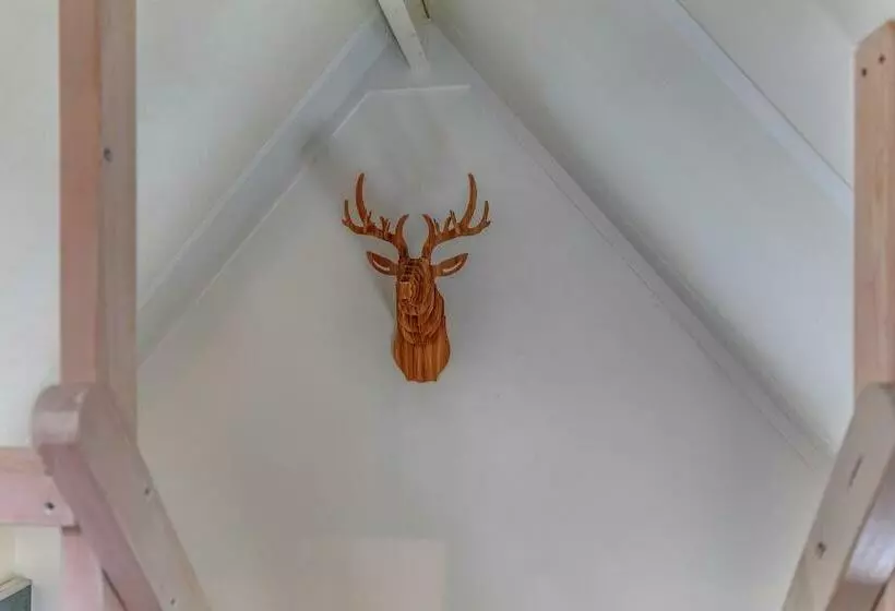 B&b Larenstein Logeren In Een Tiny House