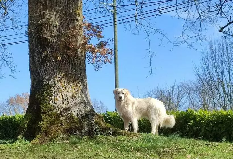 Aamiaismajoitus (B&B) Relais De La Poste