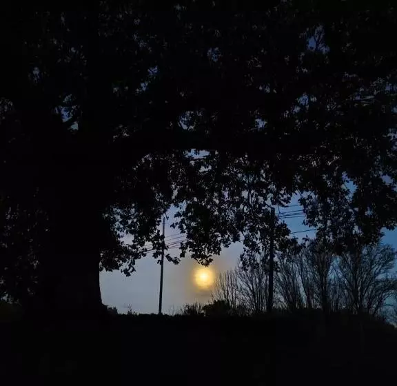 Aamiaismajoitus (B&B) Relais De La Poste