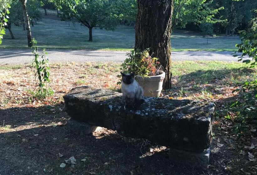 ベッドアンドブレックファースト Relais De La Poste