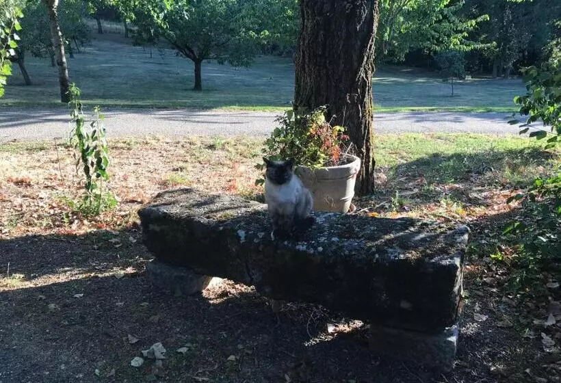 Aamiaismajoitus (B&B) Relais De La Poste