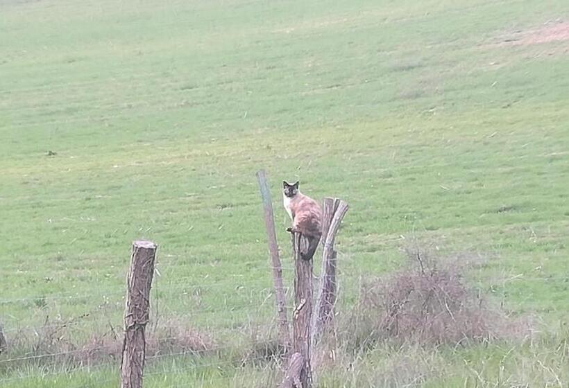 ベッドアンドブレックファースト Relais De La Poste