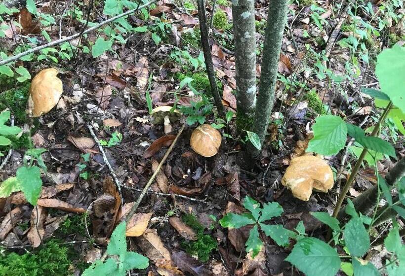 ベッドアンドブレックファースト Relais De La Poste