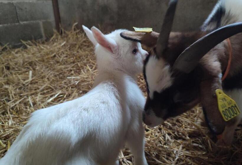 ベッドアンドブレックファースト Relais De La Poste