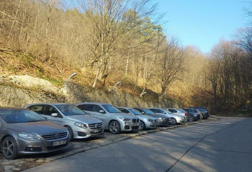 Pensiunea Club Castel Resita