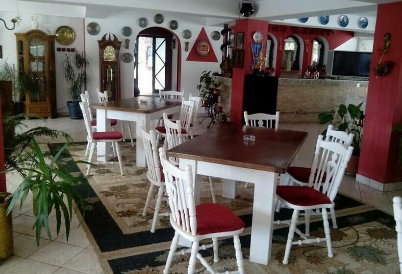 Pensiunea Club Castel Resita