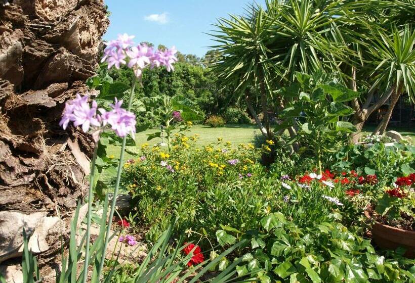 B&b Nel Giardino In Fiore