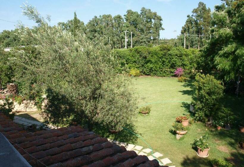 B&b Nel Giardino In Fiore