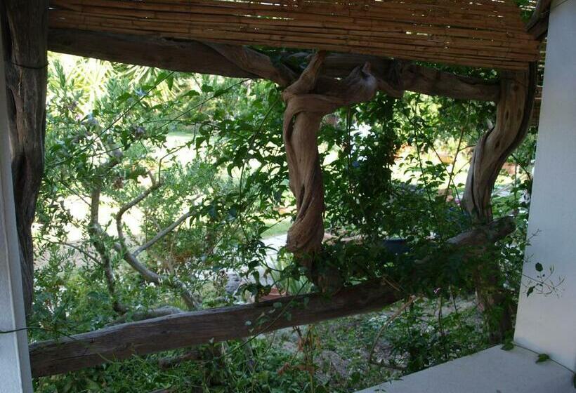 B&b Nel Giardino In Fiore