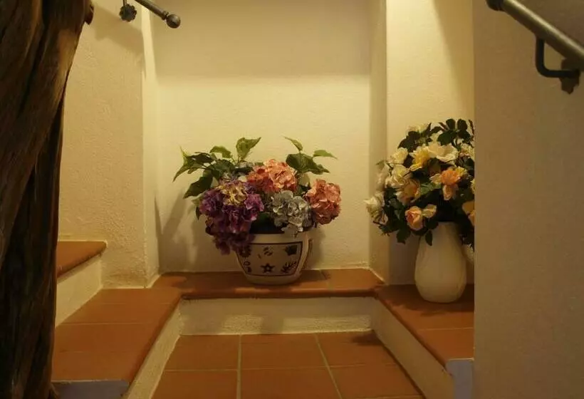 B&b Nel Giardino In Fiore